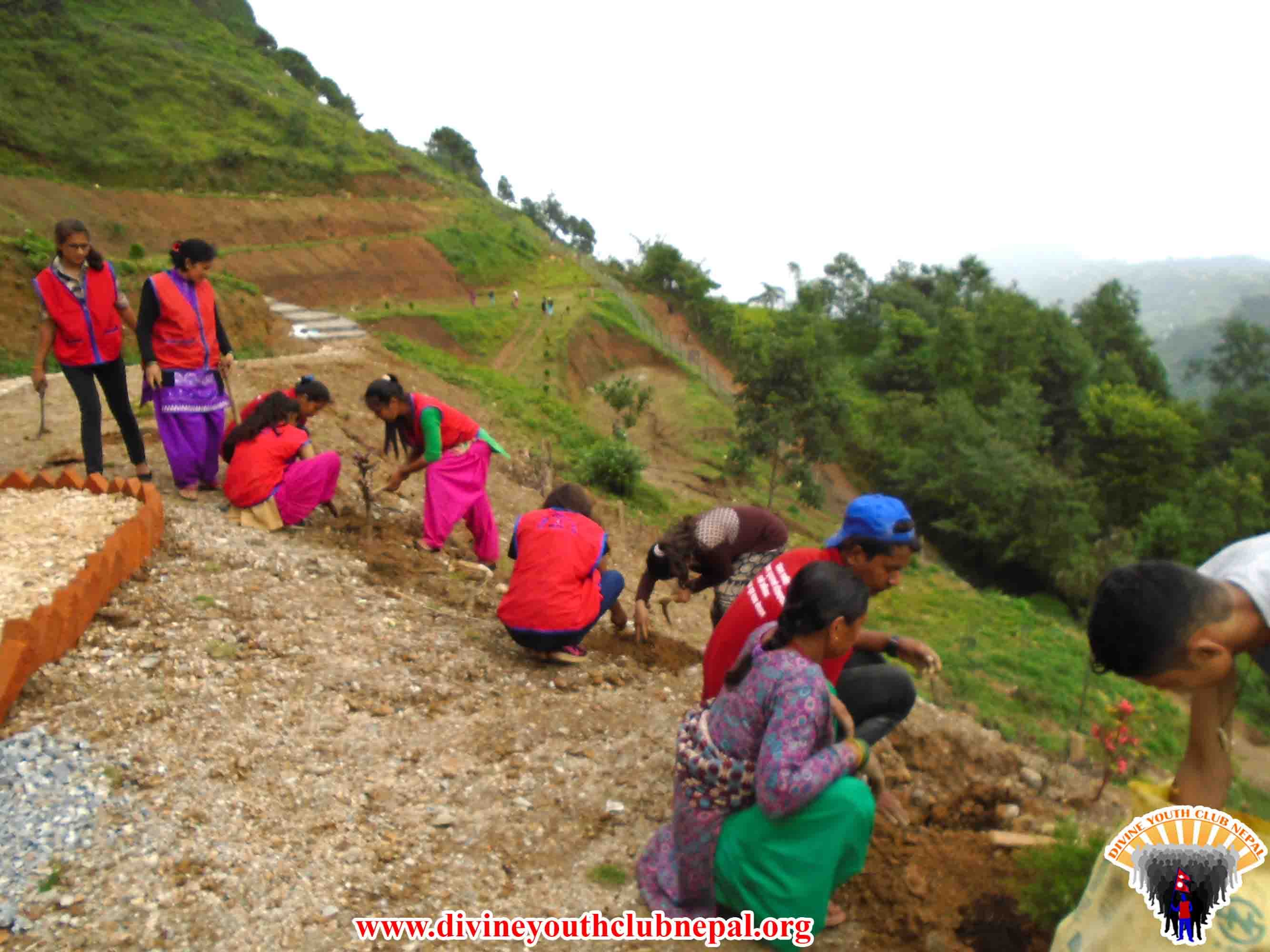 Udhyan-Cleaning-Maintenance-program-Tamghas-Gulmi-2074-10