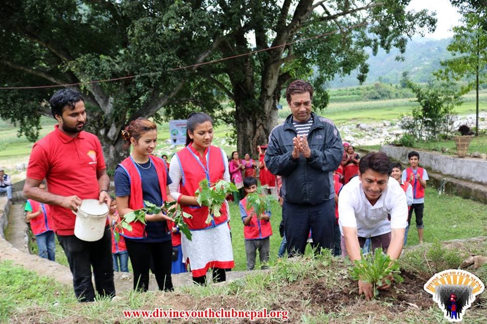 Flower-Plantation-on-World-Environment-Day-2075-8