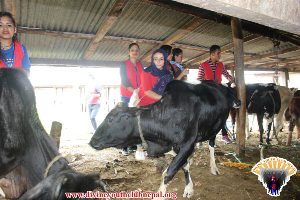 Tree-Plantation-at-Gulmi-2075
