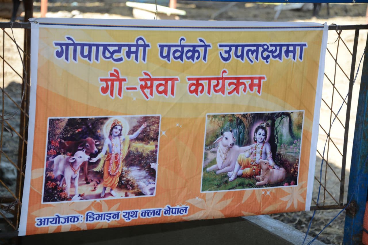 gau-sewa-onthe-occasion-of-gopashtami-2073