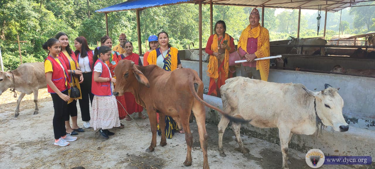 Gau-Sewa Program at Jhapa 2079(2)