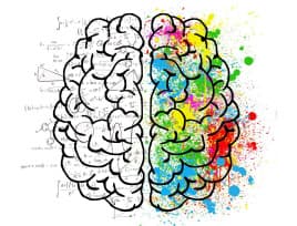 Mind Management Workshop