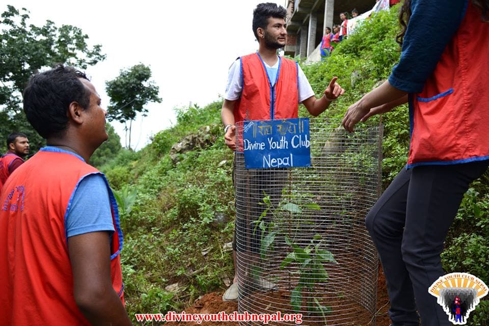 Temple-cleaning-Tree-Plantation-at-Santeshwor-Mahadev-Temple-2075-3