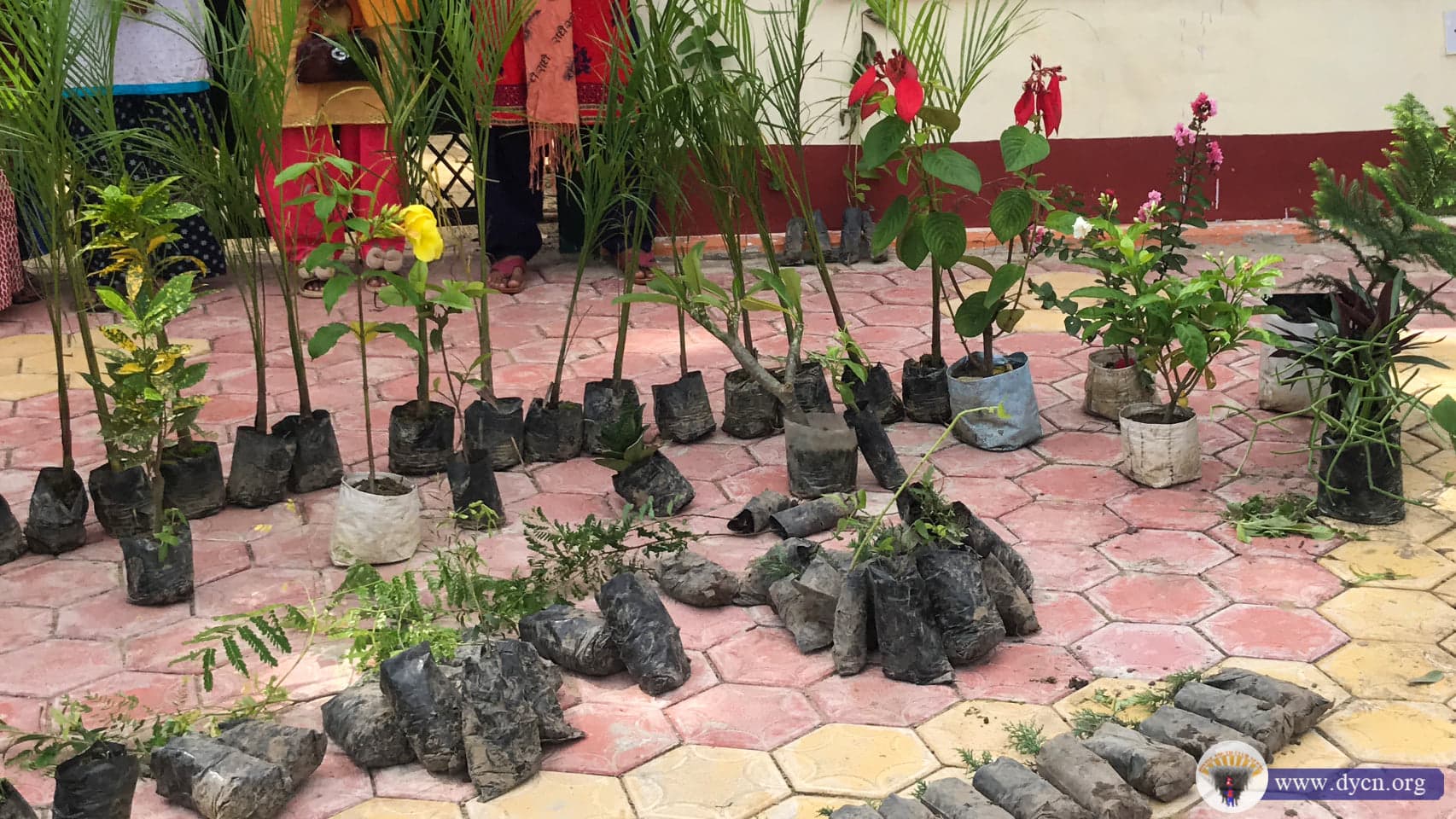 Shree Beladevipur Dham cleaning program at Dhangadhi 2078 (2)
