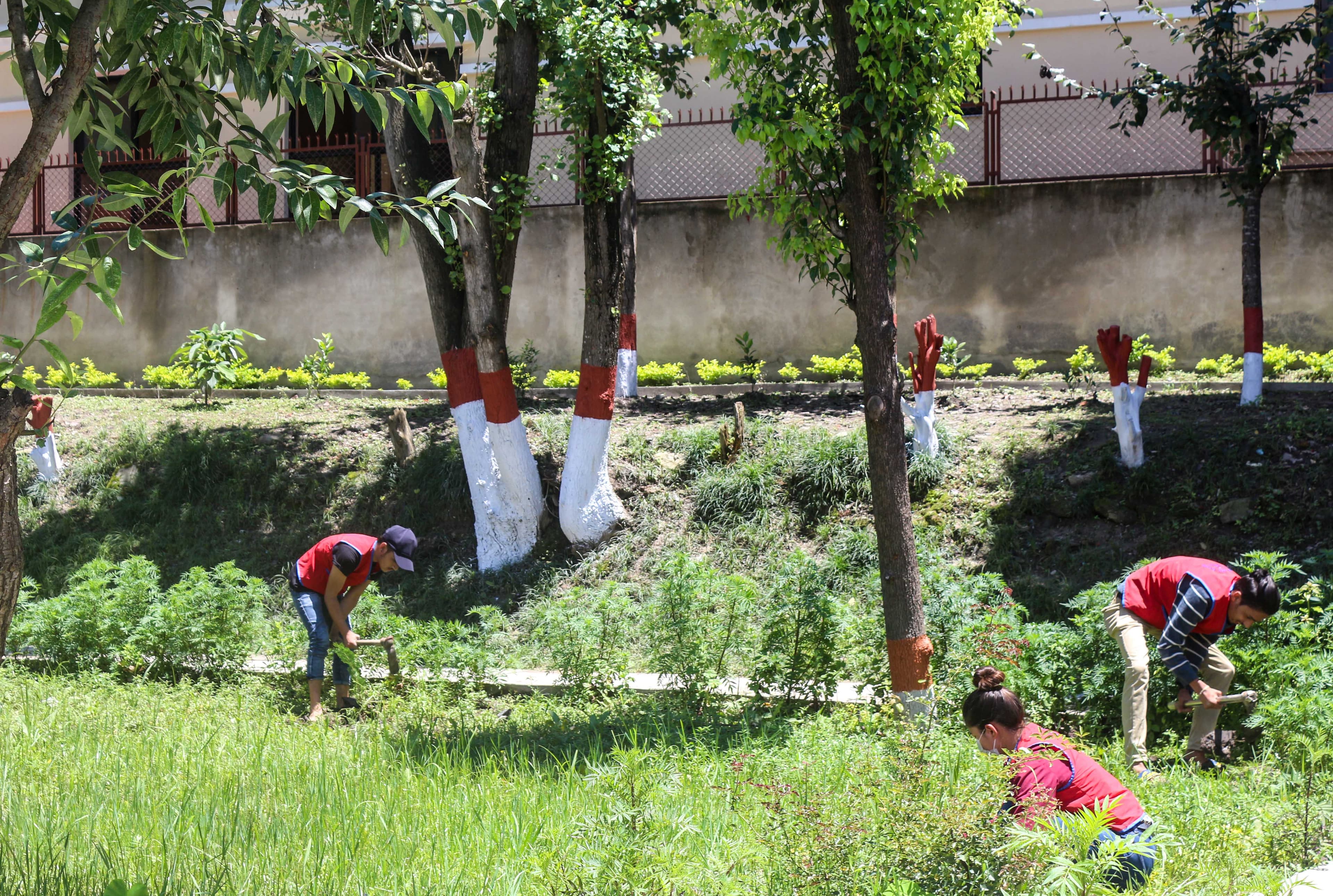 Plantation Program at Bauddha Oldage Home, Banepa Kavrepalanchok 2078 (2)