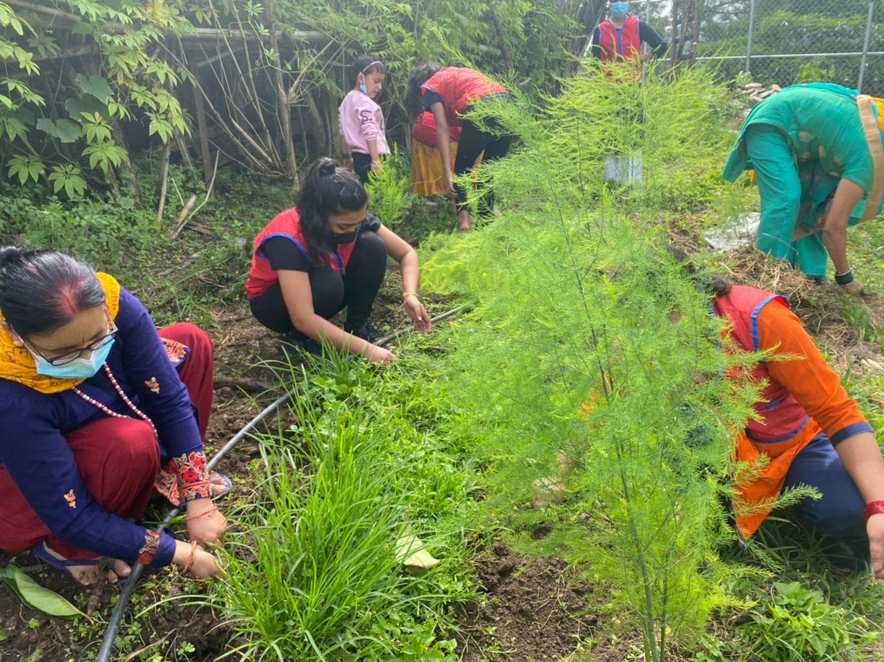 Plantation Program at Resunga Tapobhumi Gaushala, Gulmi 2078 (2)